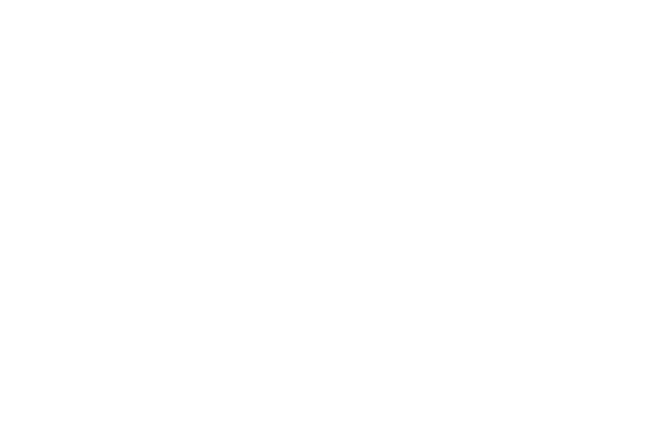 Directway Logo